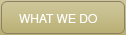 What We Do
